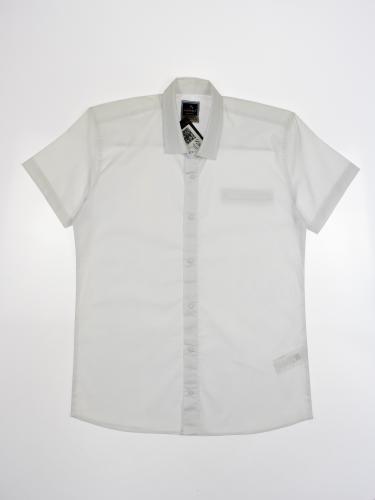 CEGISA 2536/2 Рубашка CEGISA 2536/2 Рубашка фото