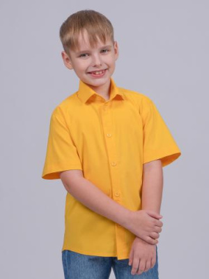 20160221-цвет-70